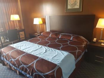 BA Hotel, Red Deer (fotografie 4)