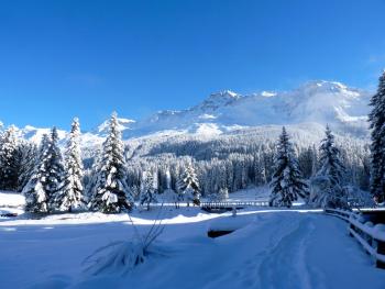 Zuhause in den Alpen Ihre Ferienwohnung mit Hallenbad und Sauna, Lenzerheide (photo 5)