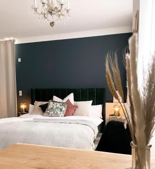 New Deluxe Studio Apartment in quiet back house, Dresden (photo 4)