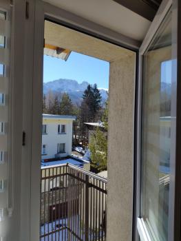 Rupicapra, Zakopane (photo 2)
