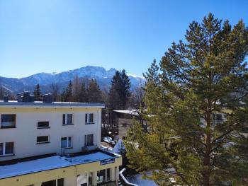 Rupicapra, Zakopane (photo 5)