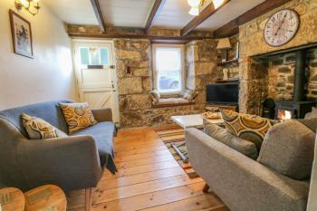 Pippin, St Ives (fotografie 3)