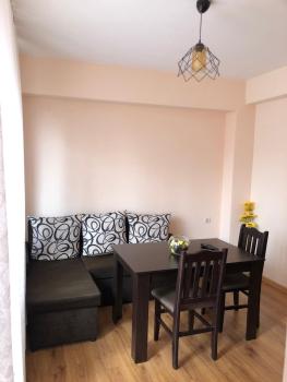 Central House, Blagoevgrad (foto 3)