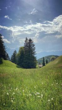 Hotel Gletscherblick, Hasliberg (Foto 4)