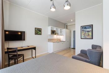 Stylish City Center Studio, Next to the Old Town, Tallinn (photo 3)