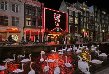 Hotel & bar Royal taste Amsterdam, Амстердам (фото 5)