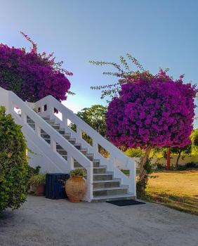 Giannis & Maria Gramvousaki Apts, Agia Marina de Nea Kydonia (foto 4)