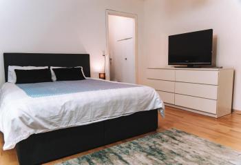 Messe Apartments in the center of basel, Basilea (foto 3)