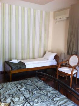 SUNNY HOUSE APARTMENTS WITH an OUTDOOR POOL AND FREE PARKING, Skopje (zdjęcie 5)
