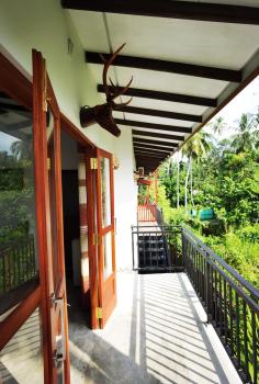 Turtle Lamp, Unawatuna (foto 4)