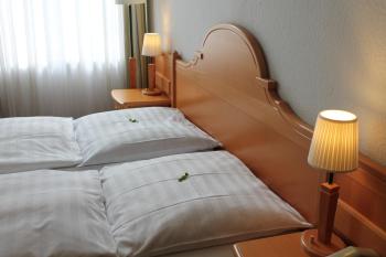 Hotel Weidenhof, Düsseldorf (photo 4)
