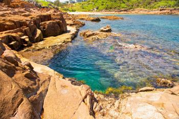 Dolphin Studio Suite, Anna Bay (foto 5)
