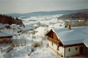 Fewo mit malerischem Bergblick im, Bischofsmais (photo 5)