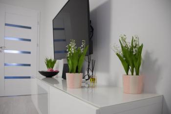 Apartament Wrocław Borowska, Wrocław (photo 2)