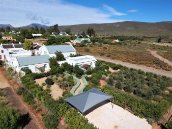 The Bean Tree, McGregor (Foto 3)