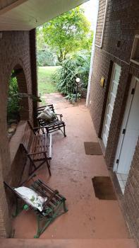 raphia on sea, Mtunzini (foto 5)