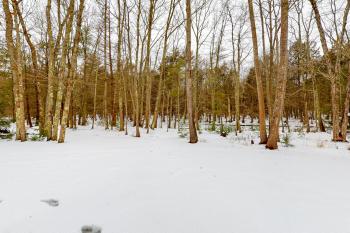 Juniper Grove, Ogunquit (foto 3)