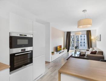 Sunflower - Modern large charming apartment with balcony, Bratislava (photo 2)