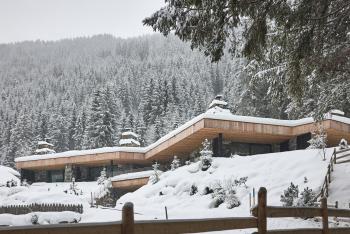Tenne Chalets, Racines (foto 2)