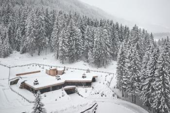 Tenne Chalets, Racines (foto 5)