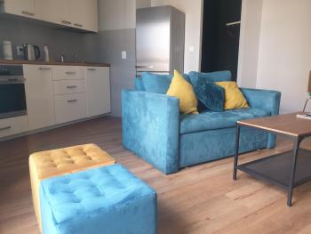 LOFT Aprtament, Piła (foto 4)