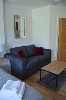 Executive Bright and Airy Studio Apartment in Sydenham, Londýn (fotografie 3)