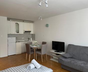 Apartment Green - Grey, Ljubljana (photo 5)