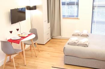 Executive Bright and Airy Studio Apartment in Sydenham, Londýn (fotografie 4)