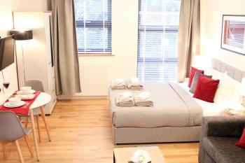 Executive Bright and Airy Studio Apartment in Sydenham, Londýn (fotografie 5)