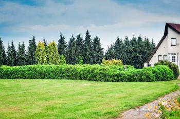 Farma Serock, Serock (Foto 4)
