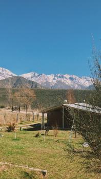 Los Coirones, Potrerillos (foto 5)