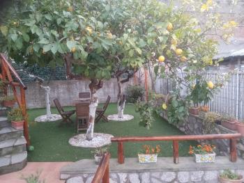 LA Giulia, Capri (foto 2)