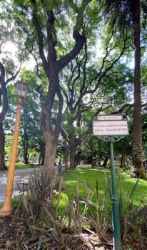 Florida garden, Buenos Aires (fotografie 5)