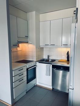 Ruoholahti Apartment with private sauna, Helsinki (foto 4)