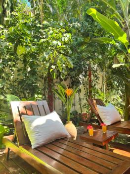Casa da Beatriz, Trancoso (photo 4)