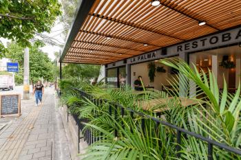 Med la palma, Medellín (zdjęcie 4)