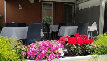 B&B Terrazza Belfiore, Florencie (fotografie 5)