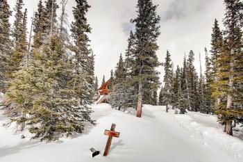 Stay at the Treeline with Fabulous Views! On Top of the World at Ptarmigan Lodge, Fairplay (fotografie 5)