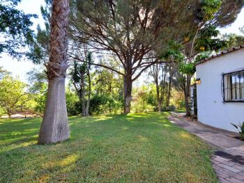 Villa in Almancil with Pool and Golf Green, Almancil (photo 4)