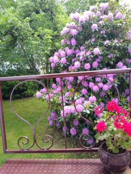 Alster City Garden Villa, Hamburgo (foto 5)