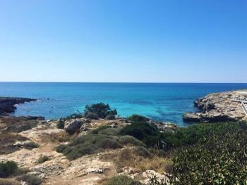 Frontemare A, Torre Suda (Foto 5)