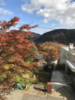 HAKONE LEON, Hakone (fotografie 2)