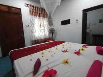 Surf Paradise, Tangalle (zdjęcie 3)