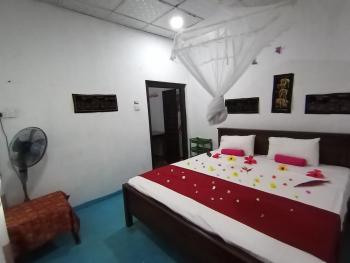 Surf Paradise, Tangalle (zdjęcie 4)