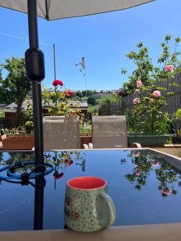 Apartment with shared garden and basic equipments, Plymouth (foto 2)