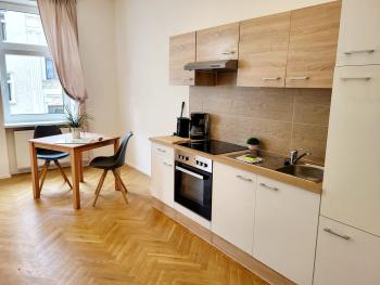 Buchengasse Apartment Vienna - Free Highspeed-Internet, Vídeň (fotografie 4)