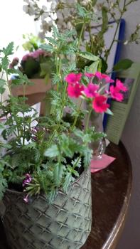 Agnes Vintage Home, Hanovre (photo 2)
