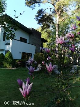 Villa in Tallinn near popular beach, Tallin (foto 4)