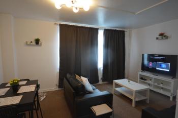 Beautiful Two Bedroom Flat in Brixton London, Londýn (fotografie 4)
