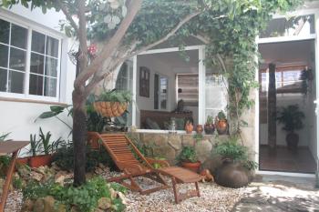 Hedera, Candeleda (photo 4)
